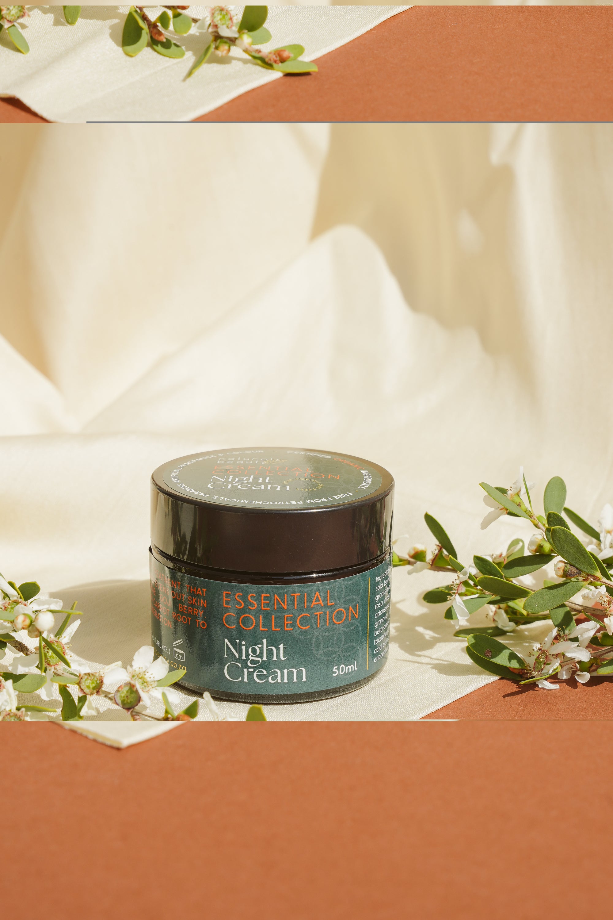 Purify Box - Day, Night, Exfoliator