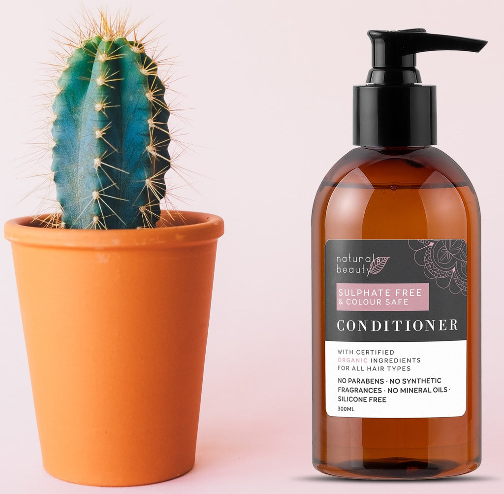 Bottle of conditioner next to a potted cactus on a light pink background